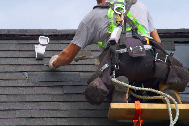 Best Gutter Installation and Roofing  in Bellevue, WI