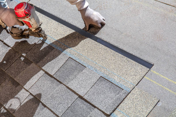 Professional Roofing Contractor in Bellevue, WI